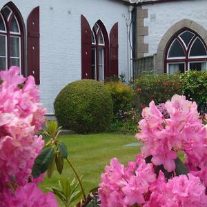 Undercliff Guest House